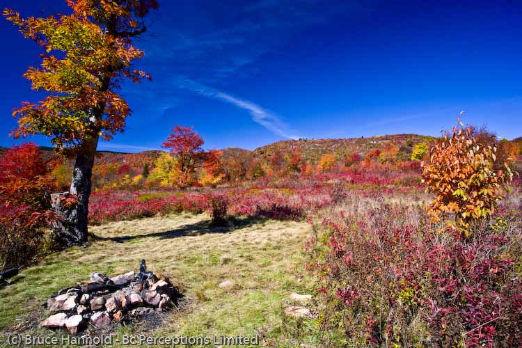 FALL DAY AT CAMP